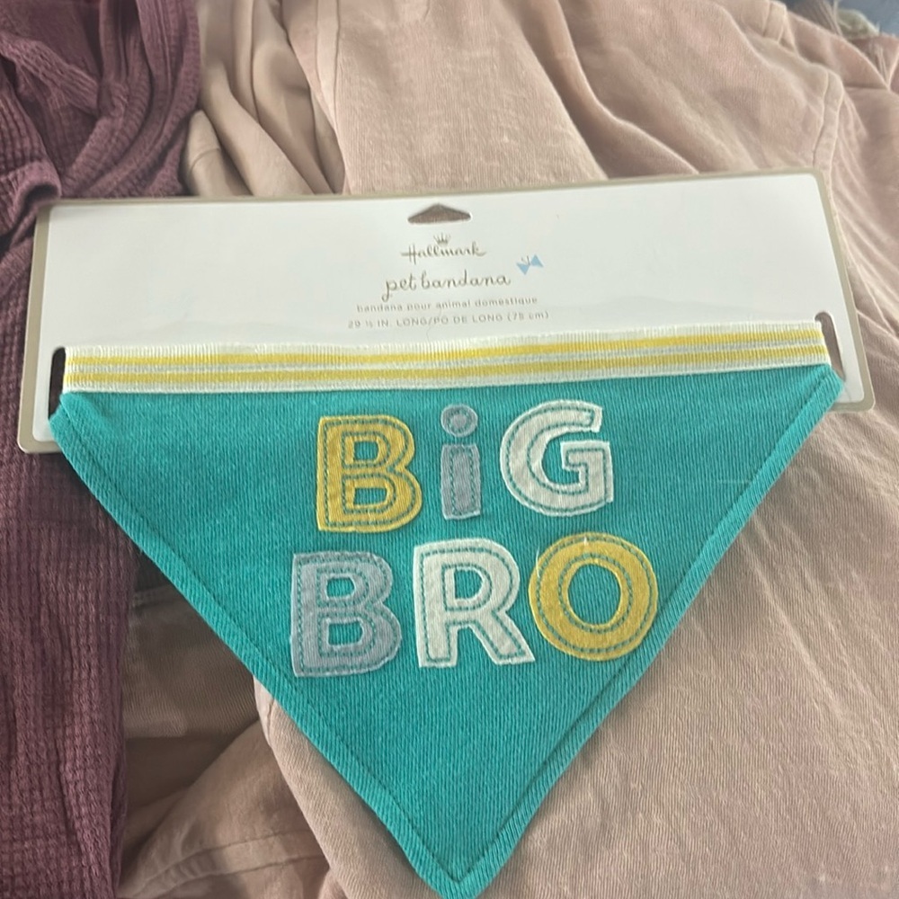 Hallmark big bro bandanna